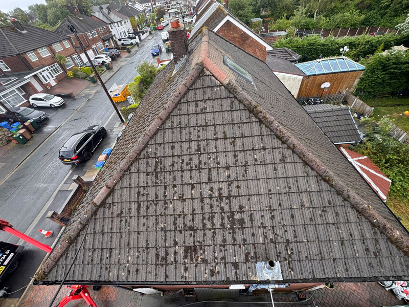 Roof before cleaning