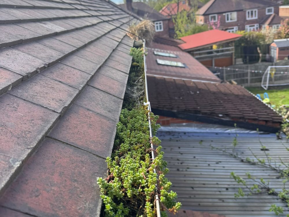Maintenance Plans work by RS External Cleaning