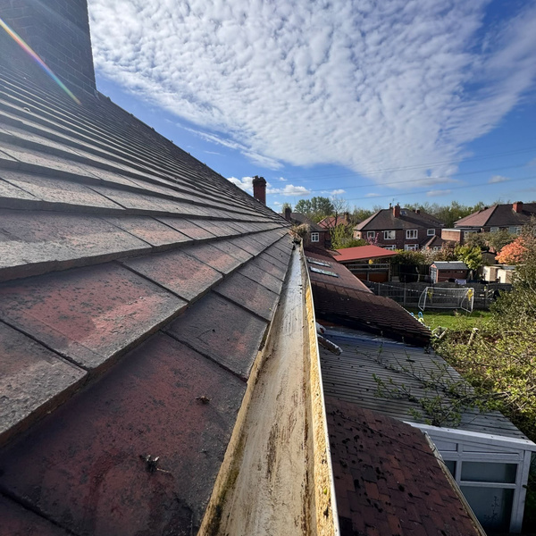 Gutter cleaning work