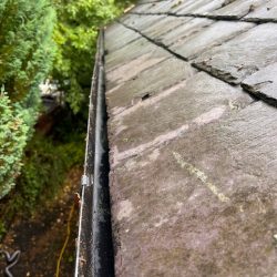 We specialize in professional gutter cleaning services for both domestic and commercial properties. With our team of experienced professionals, we ensure that your gutters are free from debris, leaves, and blockages, allowing proper water flow and preventing potential damage to your property.